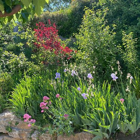 Le Jardin De Lau Villa Aubignan Kültér fotó