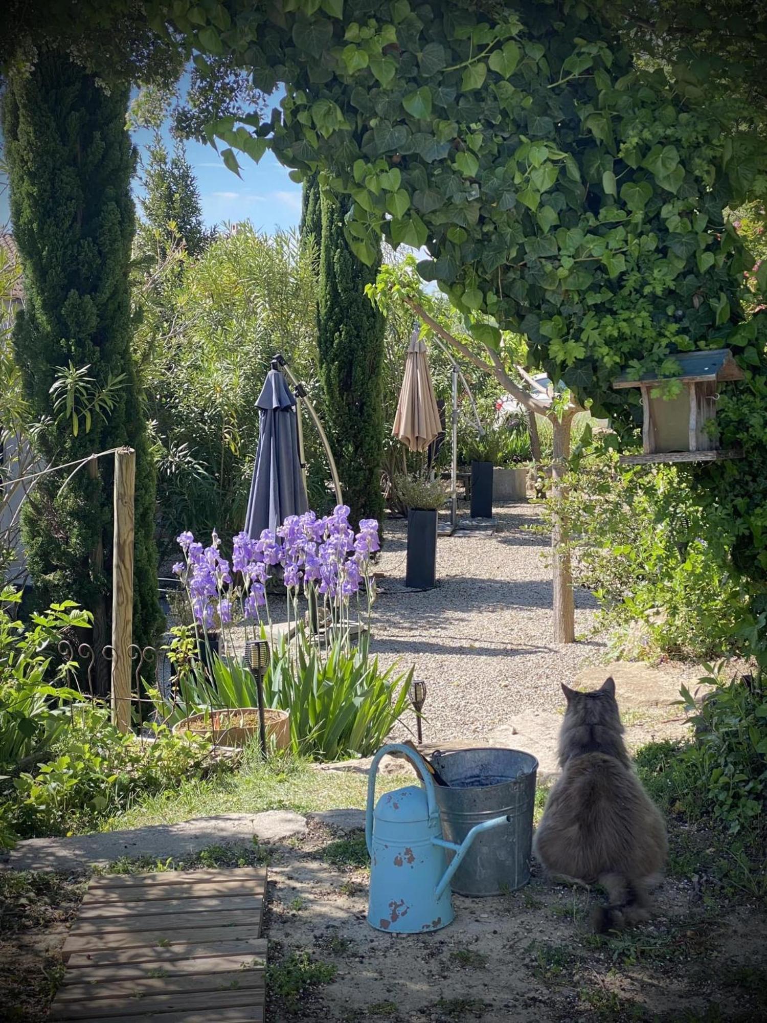 Le Jardin De Lau Villa Aubignan Kültér fotó