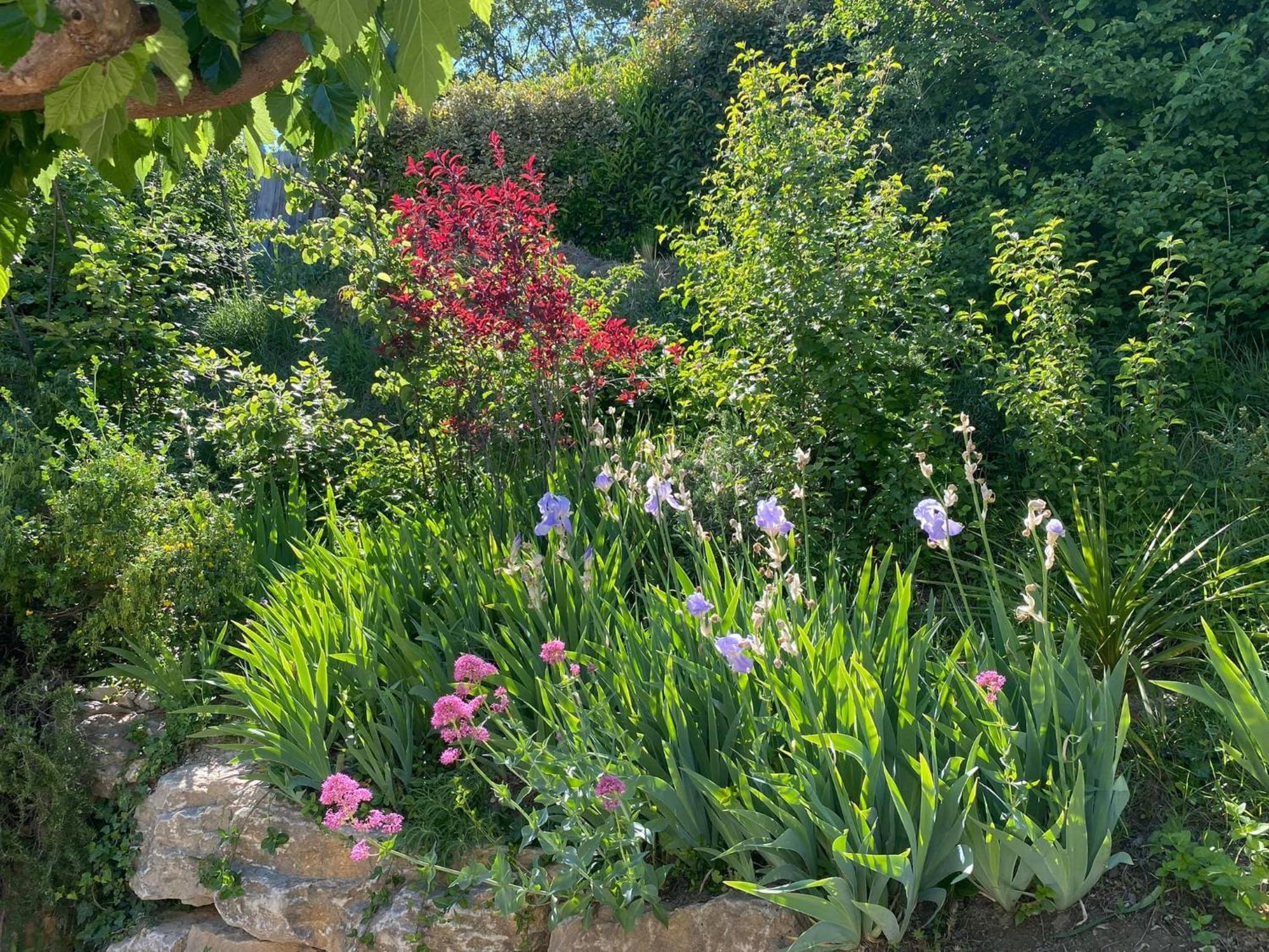 Le Jardin De Lau Villa Aubignan Kültér fotó